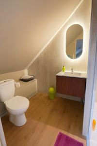 a bathroom with a toilet and a sink and a mirror at Logement refait à neuf ! in Bois-Guillaume +12 photos