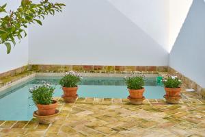 a swimming pool with potted plants on the floor at Casa Palacio Vida in Espejo