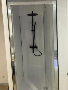 eine Glasvitrine mit einem Schwert darin in der Unterkunft SPA & Détente - Cocon romantique au coeur de Moulins in Moulins