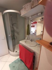 Ένα μπάνιο στο Appartement La mer de glace +8 φωτογραφίες