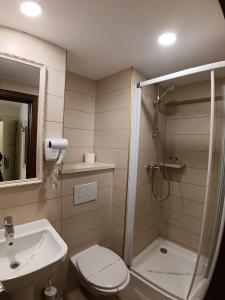 a bathroom with a shower and a toilet and a sink at Hotel Florentina in Constanţa