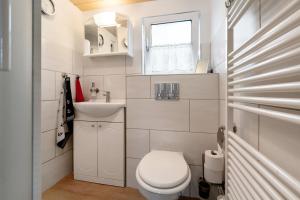 une petite salle de bain avec toilettes et lavabo dans l'établissement Ferienhaus Wallenstein, à Kappeln 13 autres photos