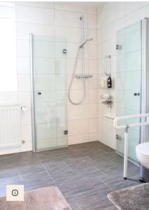 a bathroom with a shower and a toilet and a sink at Ferienwohnung Am Palmengarten in Marktbergel