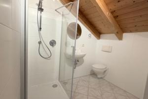a bathroom with a shower and a sink and a toilet at NEU! Ferienwohnung Durach in Durach