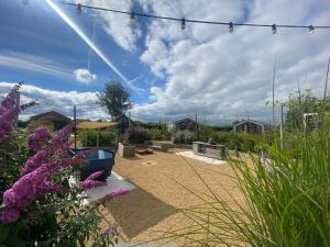 ein Garten mit lila Blumen und einem bewölkten Himmel in der Unterkunft Marina Strandbad Chalet Wellness Hideaway Haus Nr 402 in Olburgen + 6 Fotos