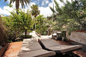 a patio with two chaise lounges and palm trees at Casa el Gordi in El Paso