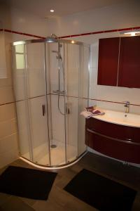 a bathroom with a shower and a sink at Maison - Le Clos Des Pommiers in La Vicomté-sur-Rance