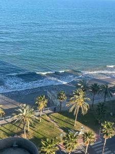 オロペサ・デル・マールにあるMarinador Josmar - Oropesaのヤシの木と海のあるビーチの航空写真 +2枚の写真