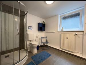a bathroom with a shower and a toilet and a window at Wohnung Blume in Niederdorla