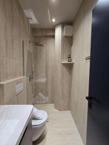 a bathroom with a shower and a toilet and a sink at SOLs Center Rooms in Tirana +22 photos