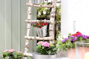 Afbeelding uit fotogalerij van Ferienwohnung Hengemes, 45qm in Medebach