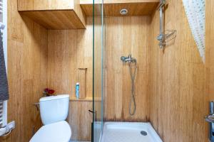 Un baño con inodoro y ducha de cristal. en Beau Studio Vue Splendide 3 Vallées, en Champoulet