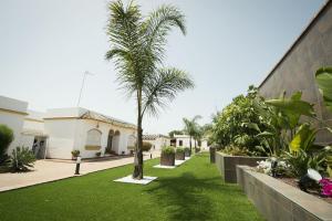 a palm tree in a yard next to a building at Chalet Fuente1 piscina común famila in Conil de la Frontera