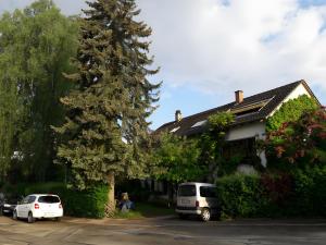 two cars parked in front of a house with a tree at Haus zur Bienenweide in Schömberg