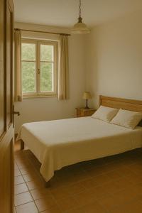 a bedroom with a bed and a window at Orange Rooms in Tirana