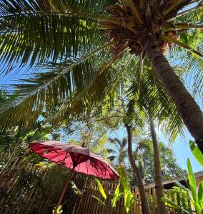 ein roter Regenschirm unter einer Palme in der Unterkunft UTOPIA in Gili Air