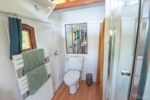 a small bathroom with a toilet and a shower at La roulotte de Fichous in Fichous-Riumayou +9 photos