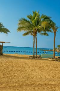 two palm trees on a sandy beach with the ocean at شاليه الحمرا 2-12بدرة العروس in Jeddah +23 photos