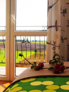 Galeriebild der Unterkunft Villa Polskacanaria in Gardeja