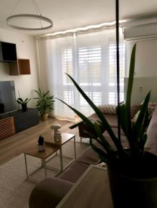 トルナヴァにあるUrbaNIDO Trnava - Modern Apartment near City Center & Stationのリビングルーム(ソファ、鉢植え付) +22枚の写真
