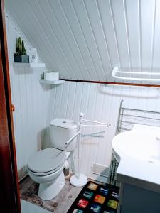 a bathroom with a toilet and a sink at Chalet dans camping à Camon in Camon