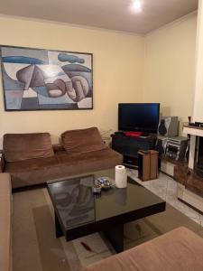TV a/nebo společenská místnost v ubytování Άνετη Κατοικία για Απόδραση στη Λίμνη Πλαστήρα