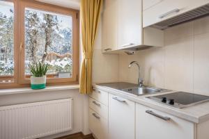 Kuchyň nebo kuchyňský kout v ubytování Runcac Apt Corn + 19 fotografií