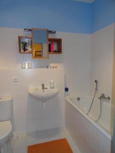 een badkamer met een wastafel, een toilet en een bad bij Ski-Bike Čertovka in Harrachov