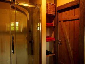a bathroom with a shower and a glass door at Ferienwohnung Vogelsang in Neuburg +25 photos