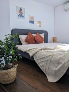 a bedroom with a bed with pillows and a plant at Honey I`m home Apartments in Veliko Tŭrnovo