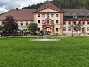 un grande edificio con una fontana in mezzo a un campo di Blackforest Perla a Höchenschwand