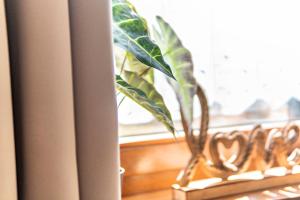 Φωτογραφία από το άλμπουμ του Fewo mit Terrasse - Hunde erwünscht σε Falkenstein