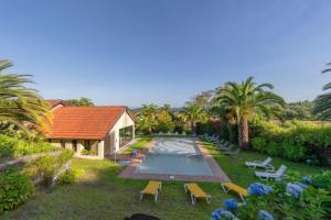an aerial view of a garden with a swimming pool at Casa de Valdemar in Felgueiras