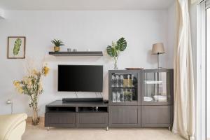 Μια τηλεόραση ή/και κέντρο ψυχαγωγίας στο Apartamento Alcazar