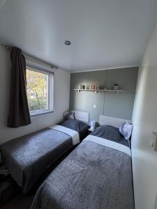 a bedroom with two beds and a window at U pino in Lumio