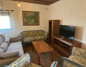 a living room with a couch and a flat screen tv at Casaruralsevilla La Cabaña De Petra in Guillena