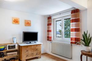 Una sala de estar con televisión y una ventana. en Haus Edith, en Gersfeld