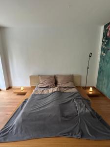 a bed in a room with two lamps on the floor at Separate Area mit Schlafzimmer und Badezimmer in Heroldsberg