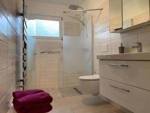 a bathroom with a shower and a toilet and a sink at Ferienhaus Lisa in Wolmersdorf +17 photos