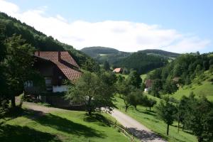 Příroda nedaleko venkovského domu