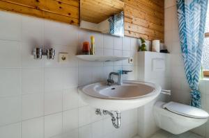 a bathroom with a sink and a toilet at Rose Garden in Heiligenberg +26 photos