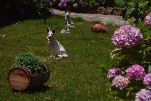 Gallery image of Studios La Kastania in Therma