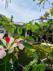 ogród z zielonymi liśćmi i kwiatami oraz stawem w obiekcie Surfing Lion Villa Hiriketiya w mieście Dickwella