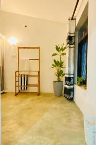 Pokój z lustrem i rośliną w obiekcie Surfing Lion Villa Hiriketiya w mieście Dickwella