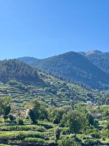 auliculiculiculiculiculiculiculiculiculiculiculiculiculiculic at Room with amazing view on mountain Tidghine Ketama in Ketama