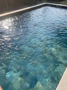 a pool of blue water with fish in it at Charmante Villa Necsilia in Solliès-Toucas