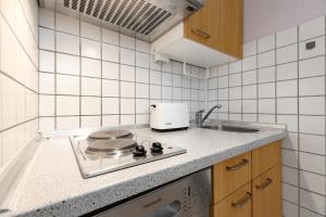 a kitchen with a stove and a sink at Panorama Schönberg 02 in Schönberg
