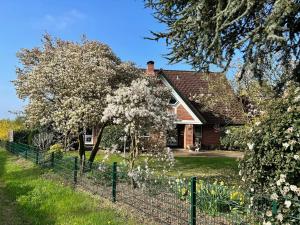 une maison avec une clôture et des arbres aux fleurs blanches dans l'établissement Ferienwohnungen Altes Land I Jork-Borstel, à Jork