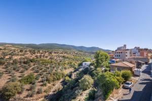an aerial view of a village with trees and buildings at El Alarife in Sediles