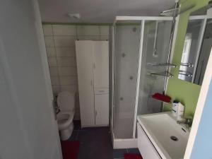 a bathroom with a toilet and a shower and a sink at Le Repaire de Belette in Coulounieix-Chamiers